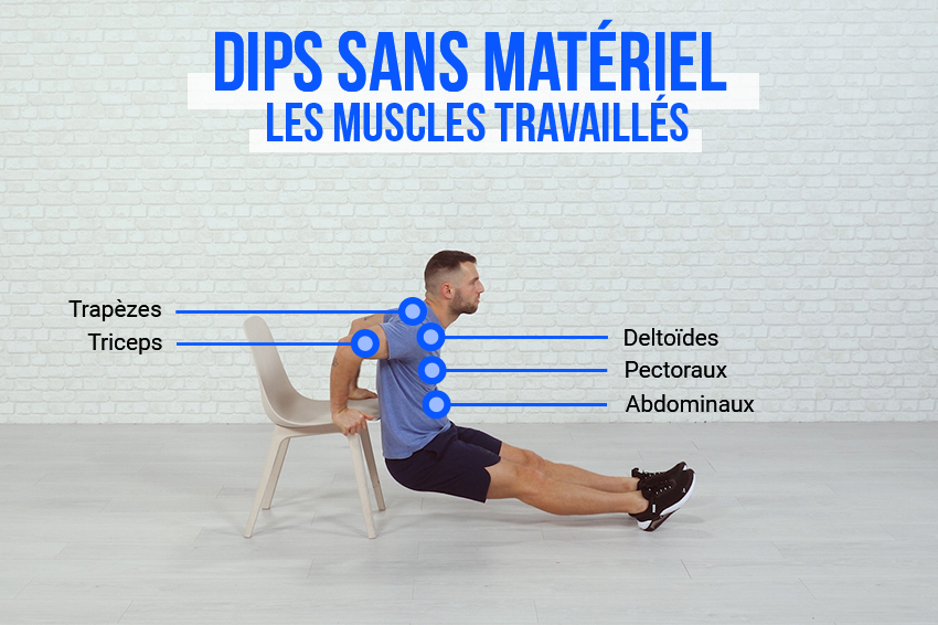 Schéma explicatif indiquant les différents muscles sollicités lors d'un exercice de dips : les trapèzes, les deltoïdes, les triceps, les pectoraux, les abdominaux.