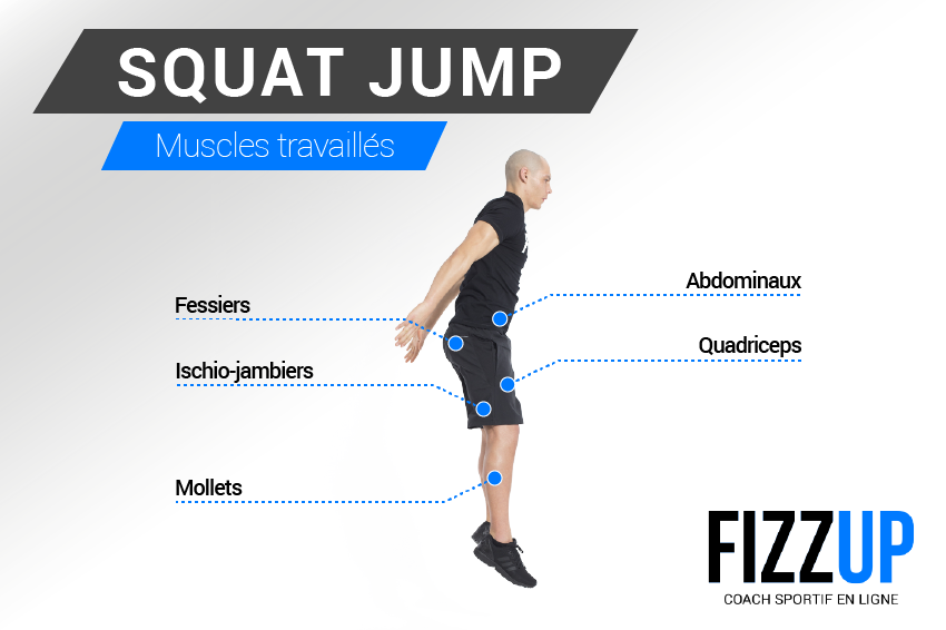 Squat jump muscles