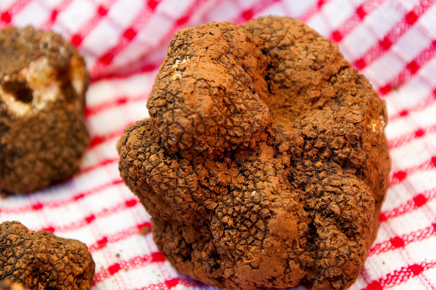 Spécial amoureux: dessert au chocolat aphrodisiaque