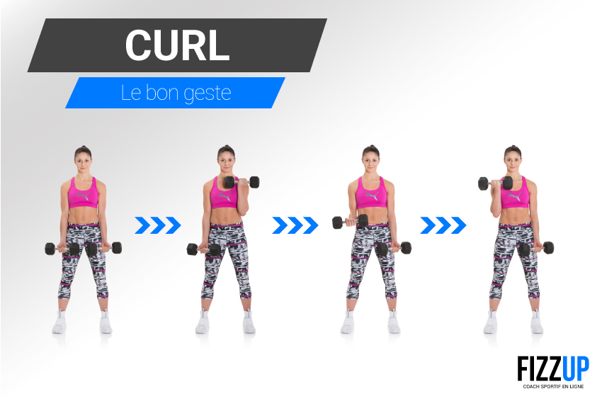 curl biceps 02